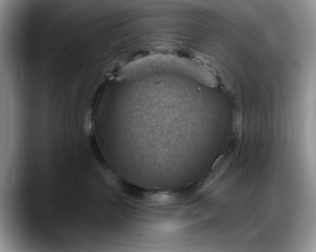 X0000088160383200705291916