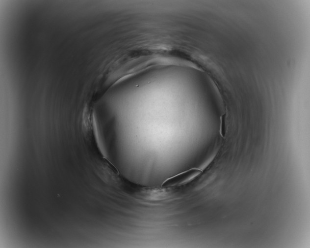 X0000088160384200705291916