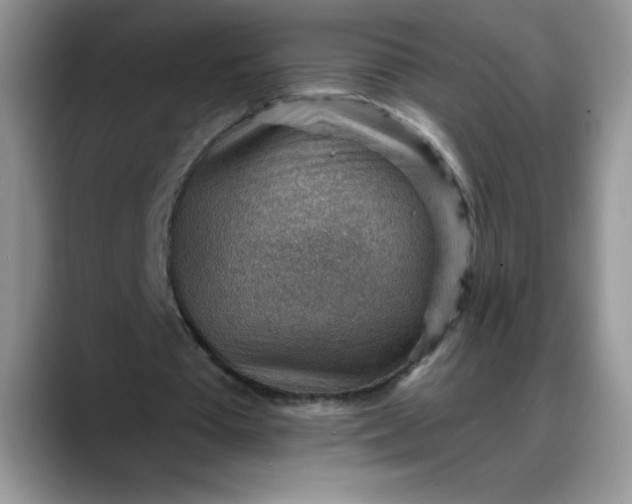 X0000088160385200705291916
