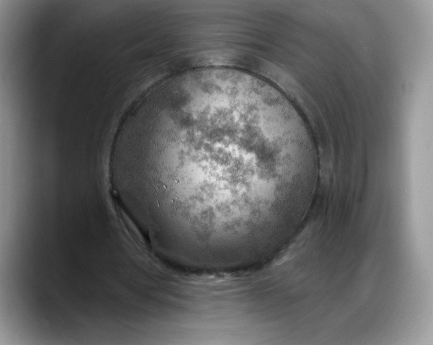 X0000088160386200705291916
