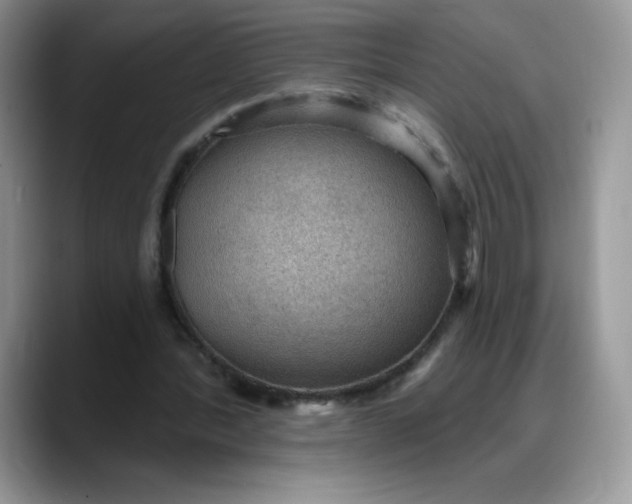 X0000088160388200705291916