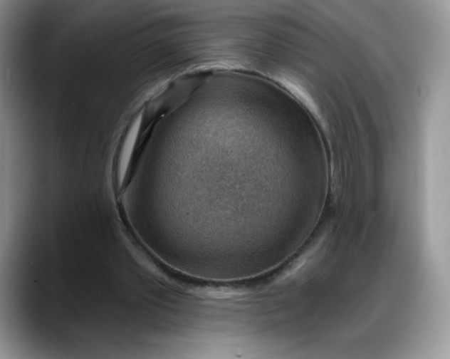 X0000088160389200705291916