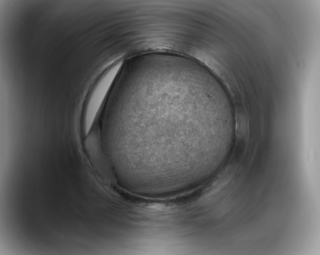 X0000088160390200705291916