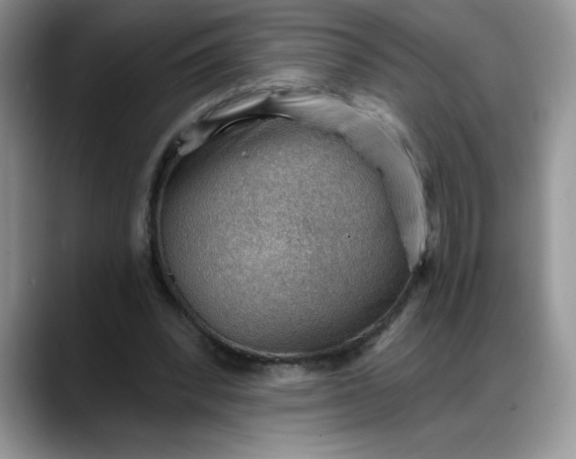 X0000088160392200705291916