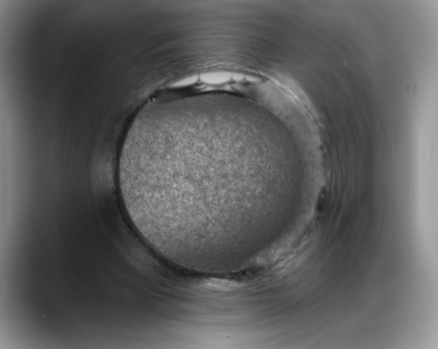 X0000088160393200705291916