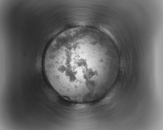 X0000088160394200705291916