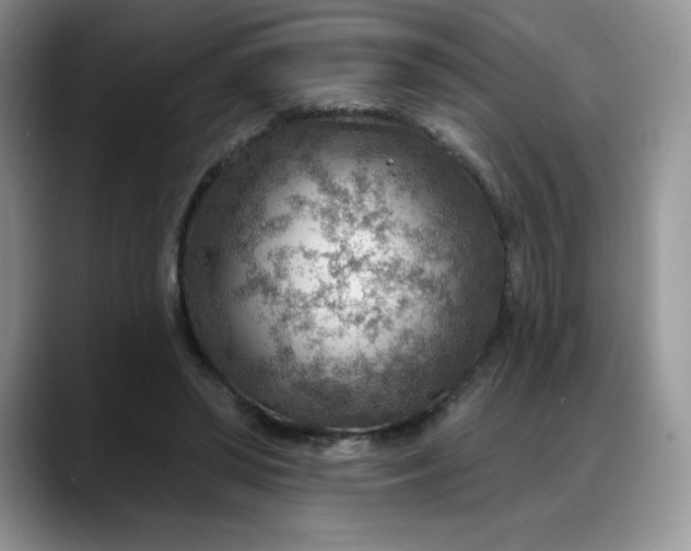 X0000088160398200705291915