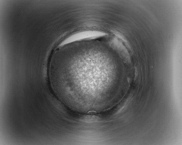 X0000088160399200705291915