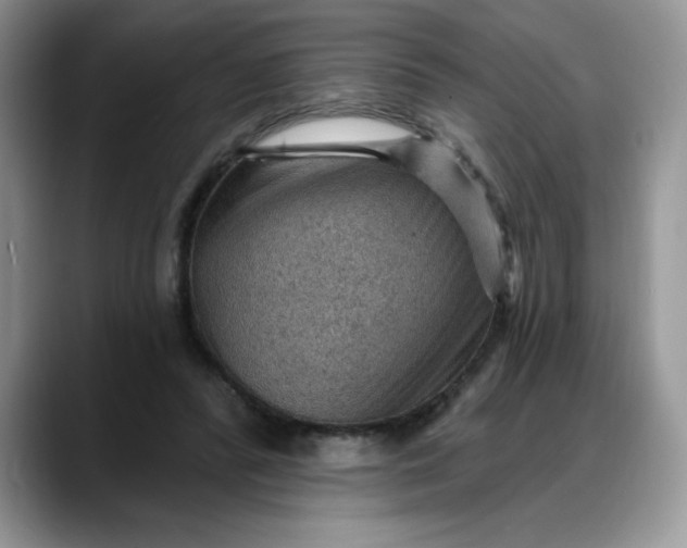 X0000088160400200705291915