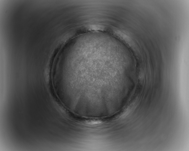 X0000088160402200705291915