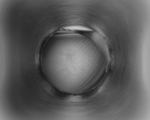 X0000088160403200705291915