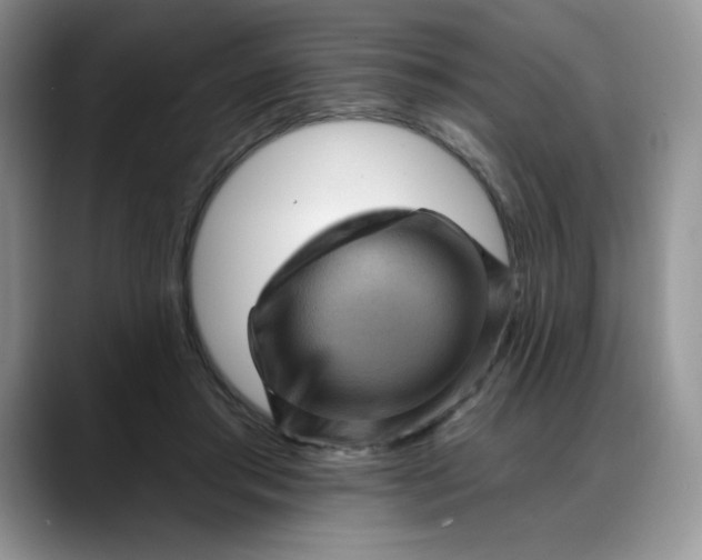 X0000088160405200705291915