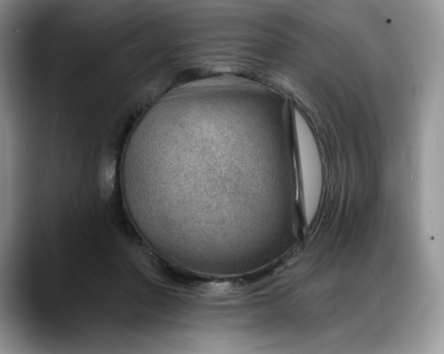 X0000088160406200705291915