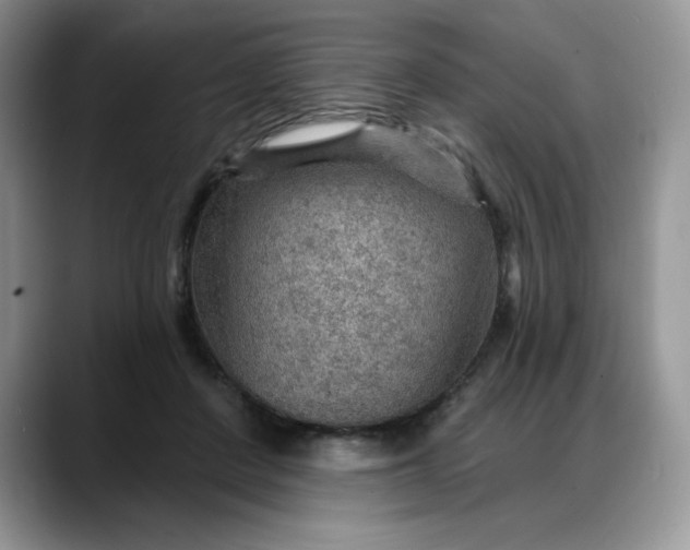 X0000088160408200705291915