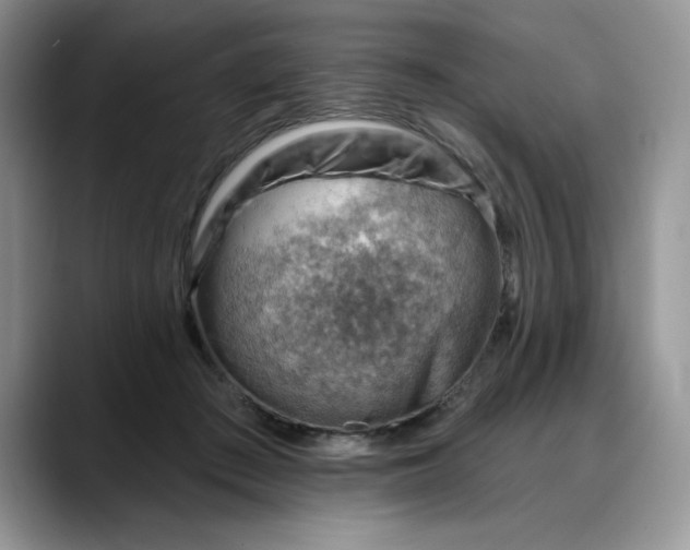 X0000088160409200705291915