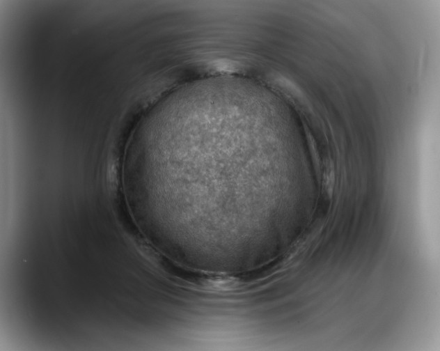 X0000088160410200705291915
