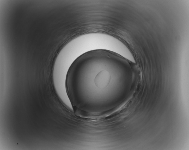 X0000088160411200705291915