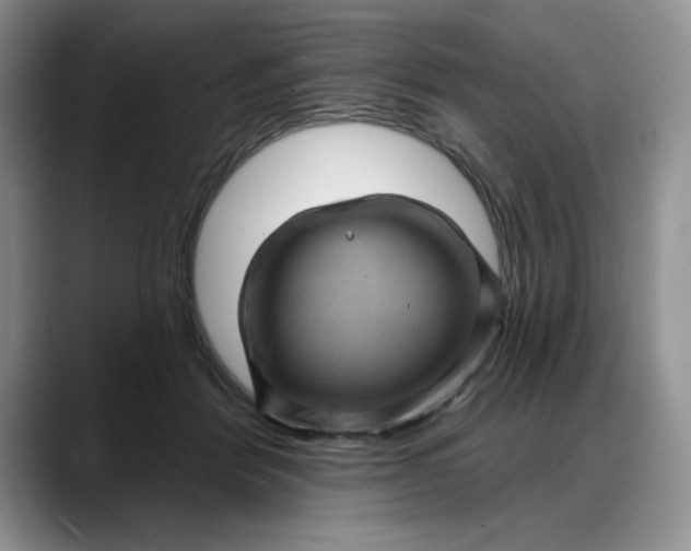 X0000088160412200705291915