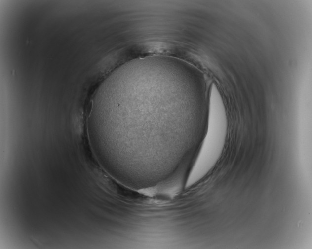 X0000088160413200705291915