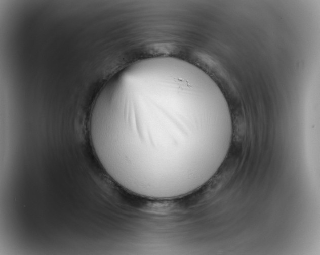X0000088160414200705291915