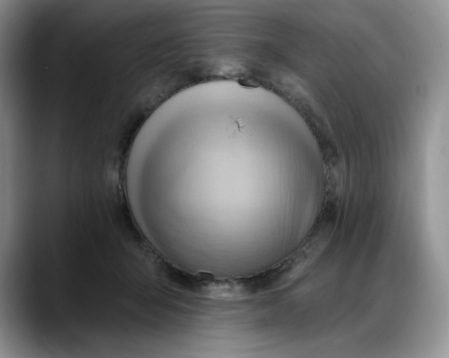 X0000088160415200705291915