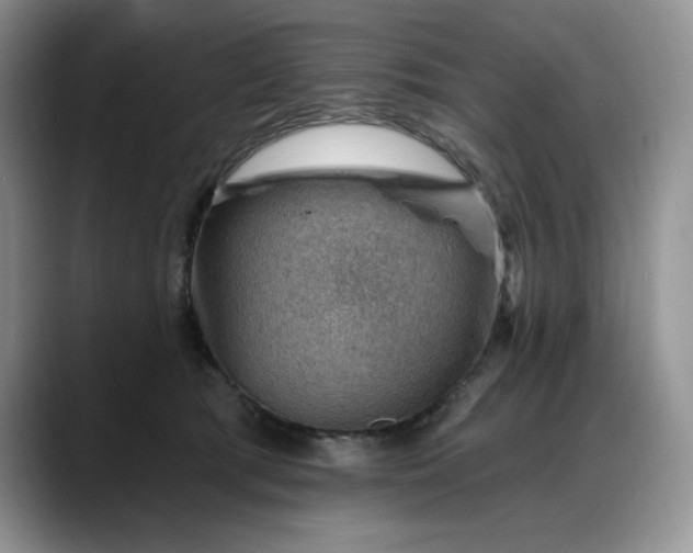 X0000088160417200705291915