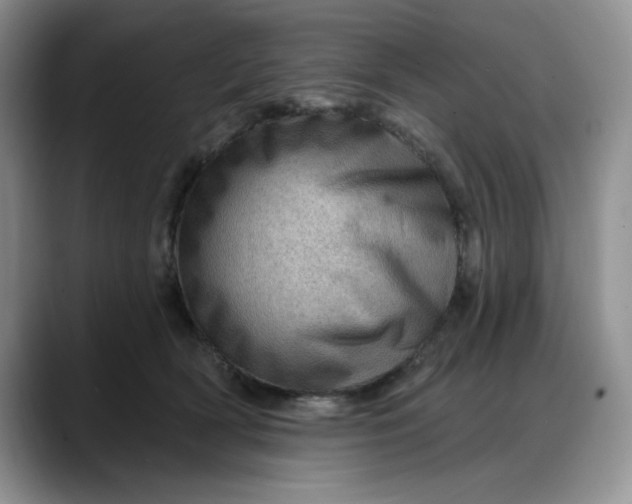X0000088160418200705291915