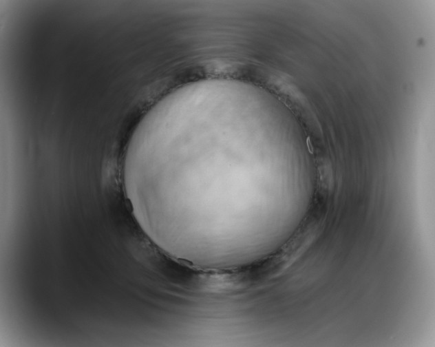 X0000088160419200705291915