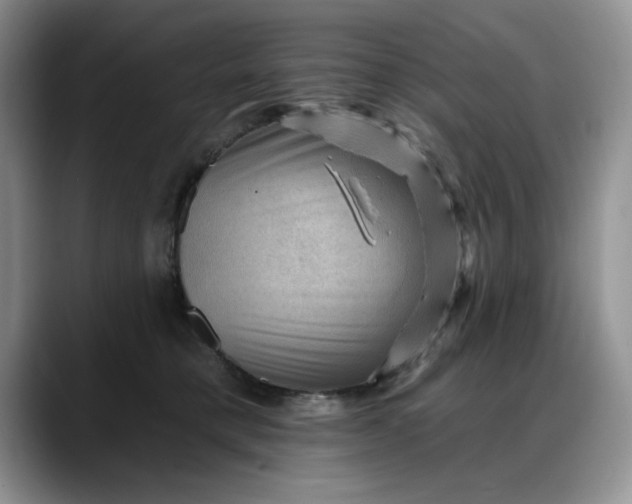 X0000088160421200705291915