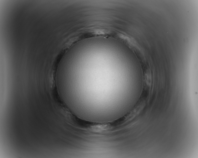 X0000088160422200705291915