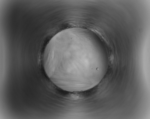X0000088160423200705291915
