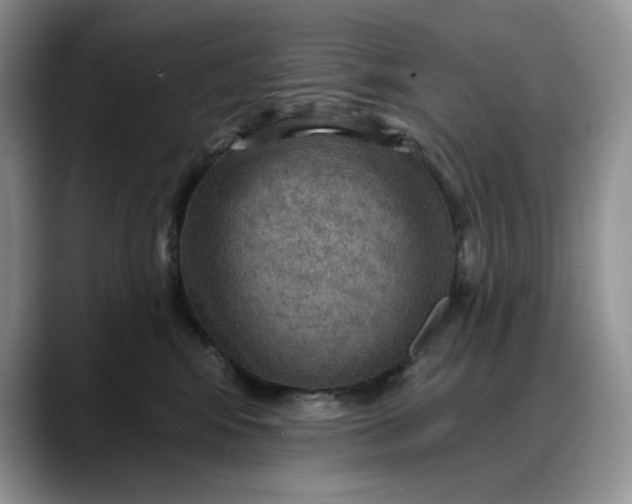 X0000088160424200705291915