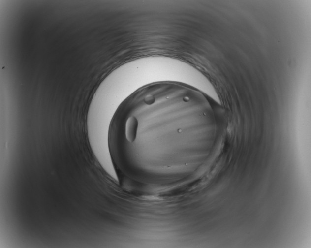 X0000088160425200705291915