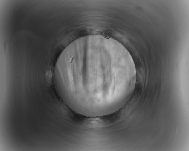 X0000088160427200705291915