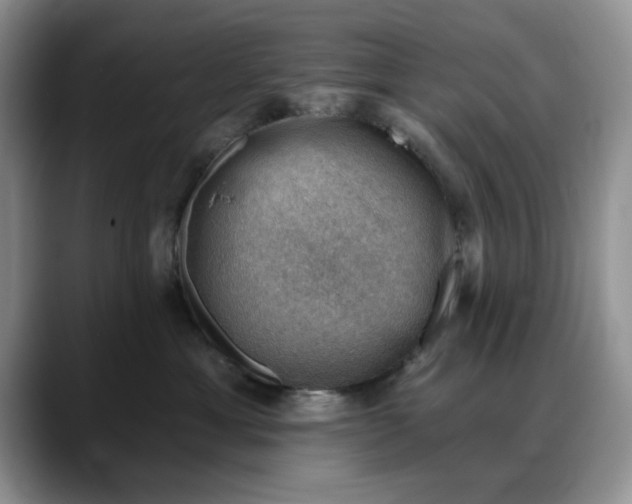 X0000088160429200705291915