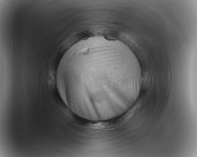 X0000088160430200705291915