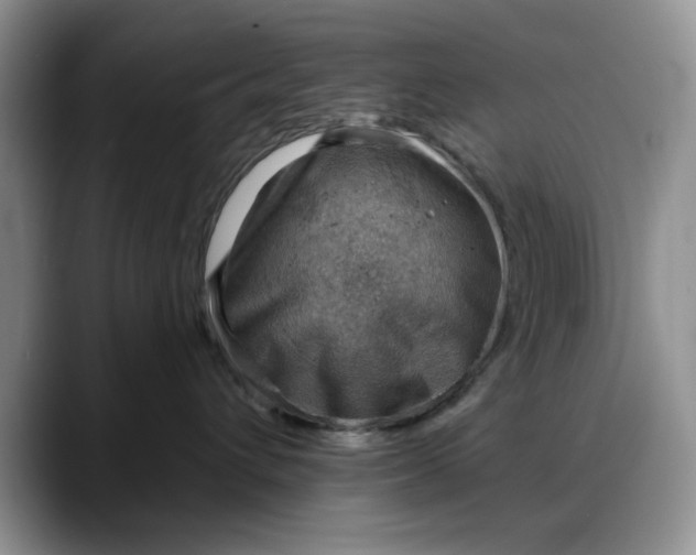 X0000088160432200705291915