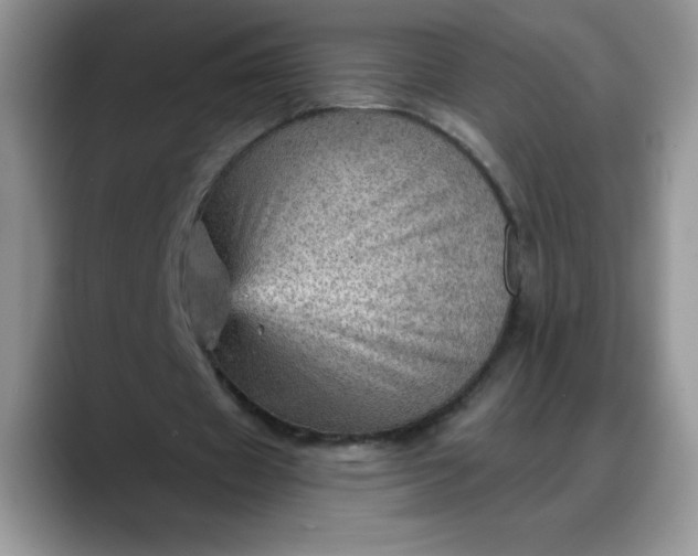 X0000088160433200705291914