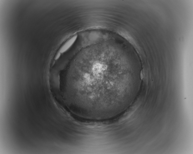 X0000088160434200705291914