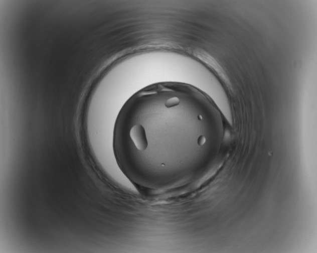 X0000088160436200705291914