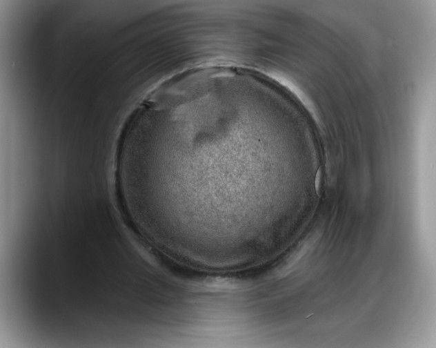 X0000088160437200705291914