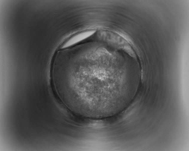 X0000088160438200705291914