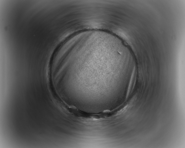 X0000088160439200705291914