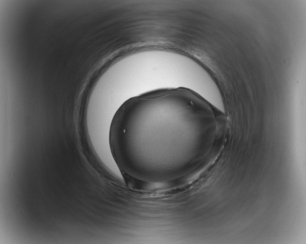 X0000088160440200705291914