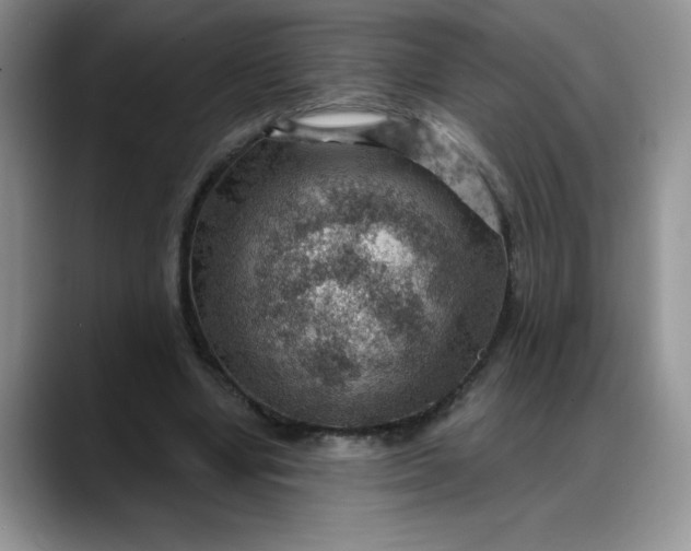 X0000088160442200705291915