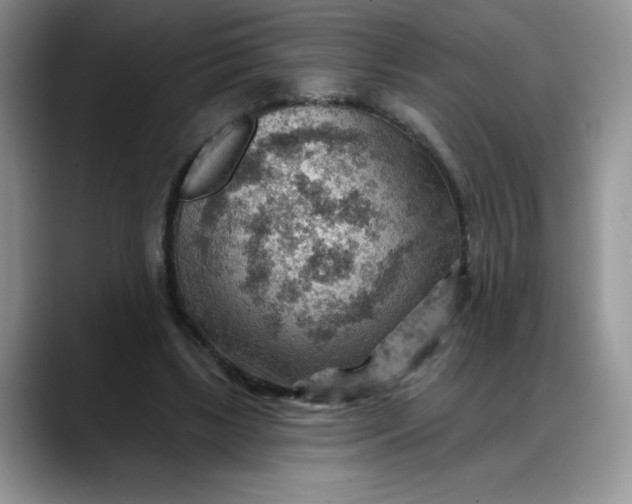 X0000088160443200705291915