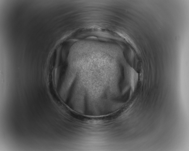 X0000088160444200705291915