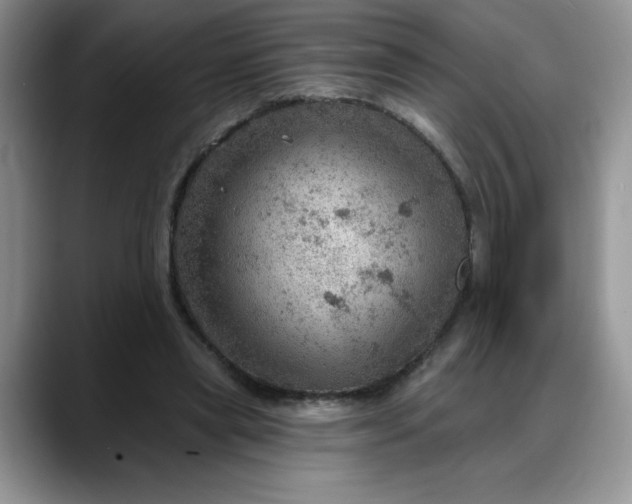 X0000088160445200705291915