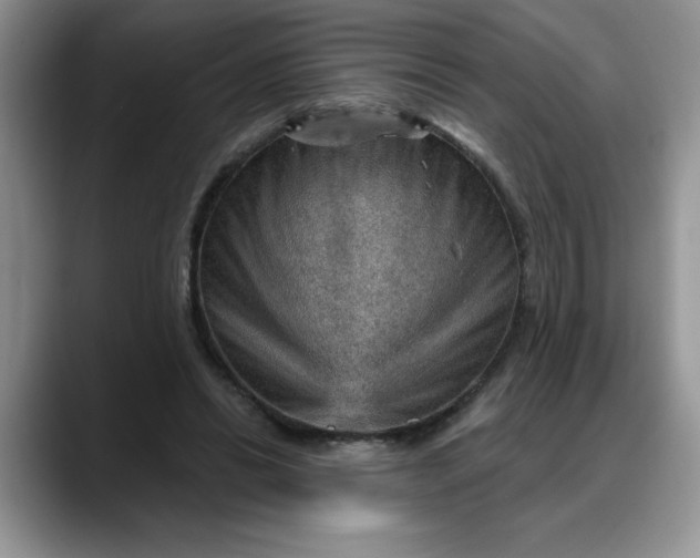 X0000088160446200705291915