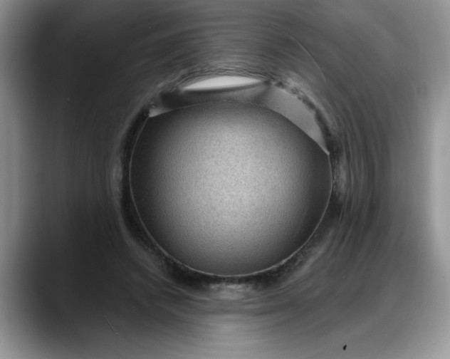 X0000088160448200705291915